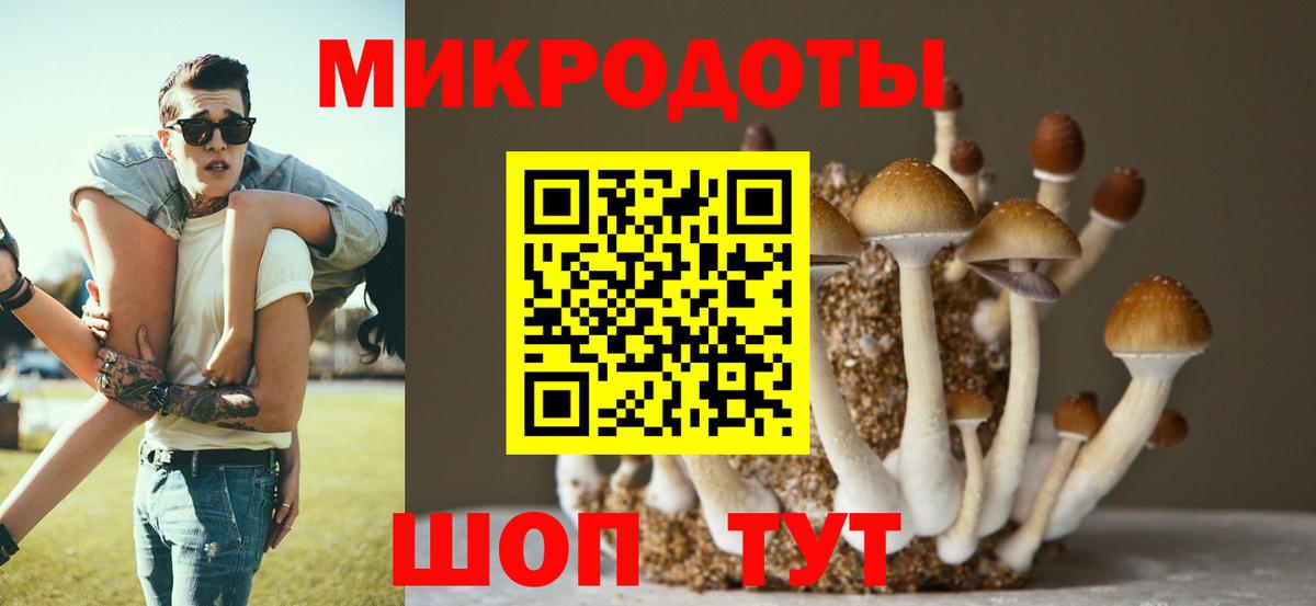 Кашира  Галлюциногенные грибы мухоморы  Вход с VPN  Галлюциногенные грибы GOLDEN TEACHER 